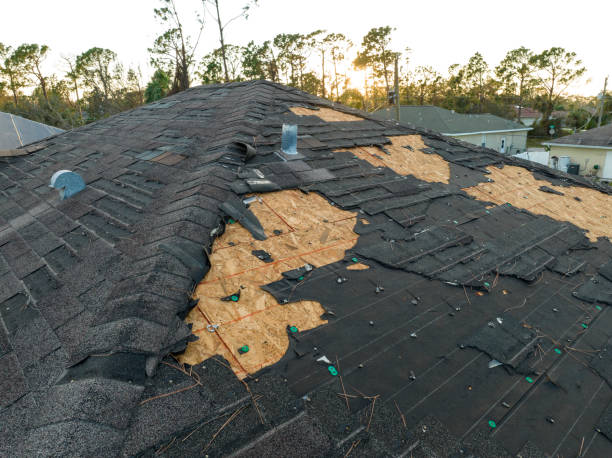 Best Roof Coating Services  in Kamiah, ID